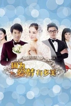 因为爱情有多美DVD版