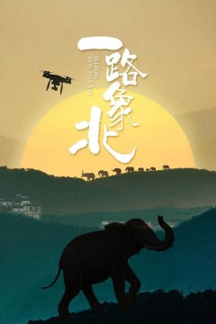 一路象北