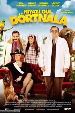 尼亚孜.古尔历险记