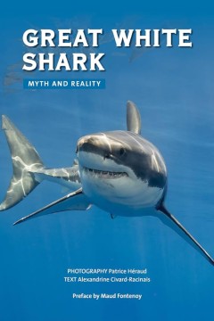 大白鲨：超越恐惧的牢笼