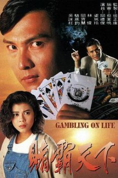 赌霸天下国语1993
