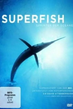 自然：超级鱼类