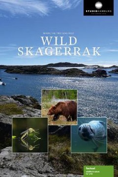 野性北欧海峡粤语