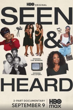 所见所闻：黑人电视史