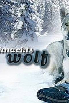 我会回来过圣诞(国语版)