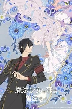 魔法少女与恶曾是敌人