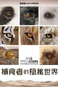 捕食者的隐秘世界