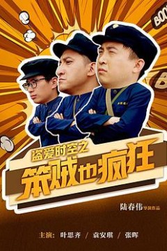 盗爱时空之笨贼也疯狂