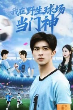 我在野生球场当门神