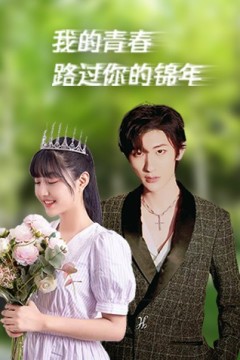 我的青春路过你的锦年