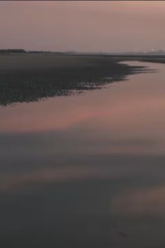 两个爸爸的故事​