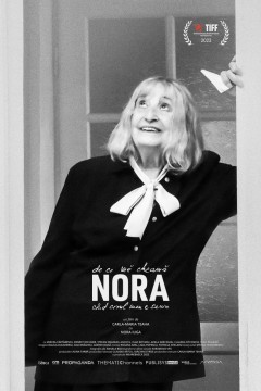 我的天空晴朗，为什么我的名字是诺拉？