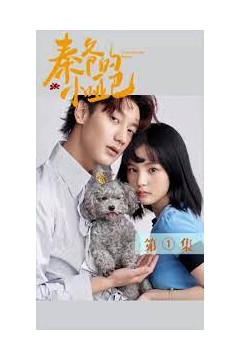 秦爷的小哑妻