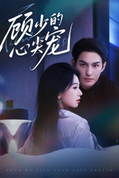 顾少的心尖宠