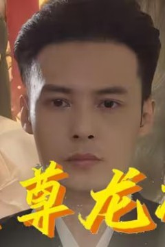 至尊龙神