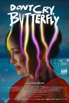 蝴蝶，别哭