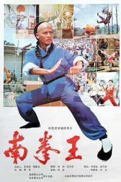 南拳王