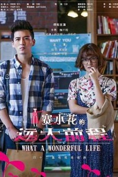 赛小花的远大前程