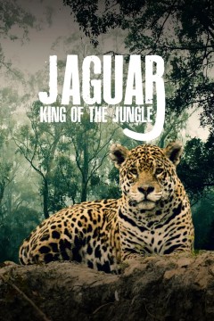 美洲豹的生存挑战