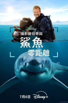 摄影师贝尔蒂与鲨鱼零距离