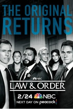 法律与秩序第二十一季