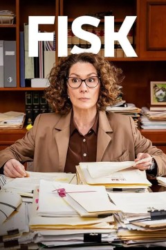 律师菲斯克第二季