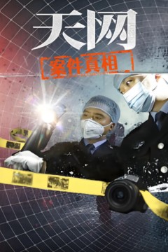 天网：案件真相