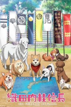 织田肉桂信长織田