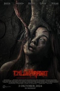 候选人阿兰的诅咒