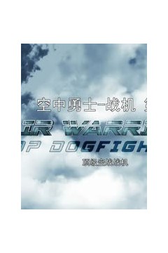 战机：空中勇士第七季