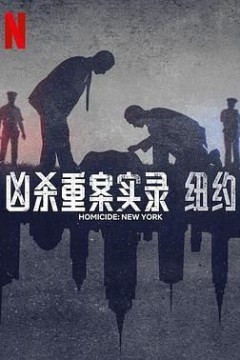 凶杀重案实录：纽约