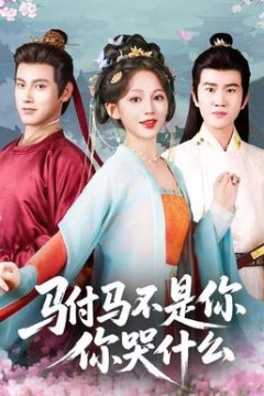 驸马不是你，你哭什么