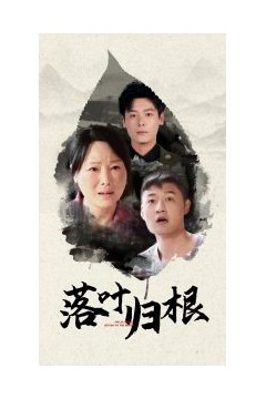 落叶归根短剧