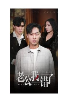 老公我错了