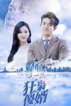 狂枭傻婿