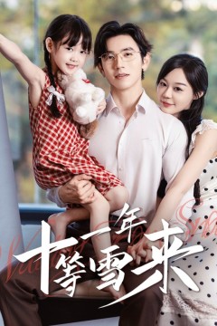 十一年等雪来