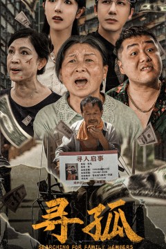 寻孤短剧