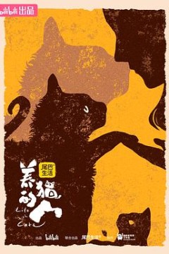 养猫的人