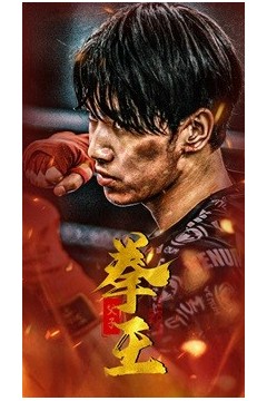父子拳王