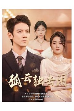 孤云独去闲