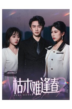 枯木难逢春