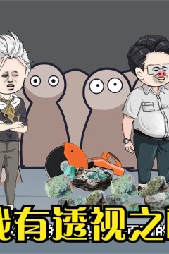 我有透视之眼