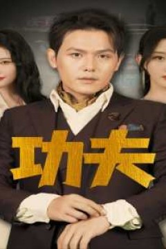 功夫短剧版