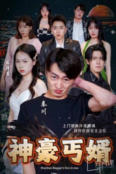 神豪丐婿