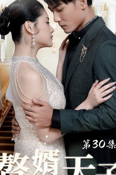 赘婿天子