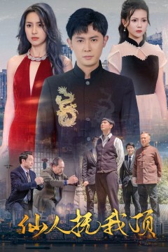 仙人抚我顶