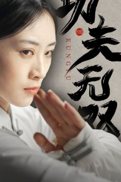 功夫无双