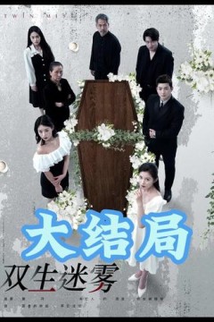 双生迷雾