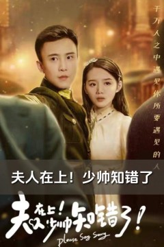替身少帅