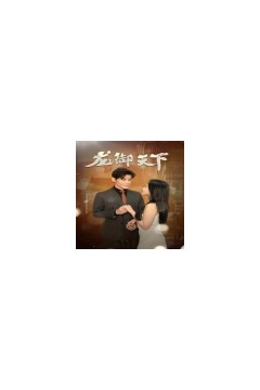 龙御天下